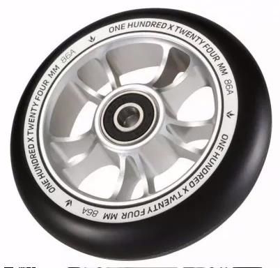 Blunt 10 Spokes 100 Hjul Silver Black